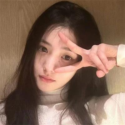 红狐
